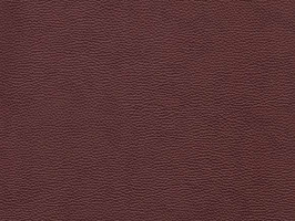 Importer leather 88 leathercollection 系列 真皮 牛皮 沙發皮革 T9687 巧克力 雲彩